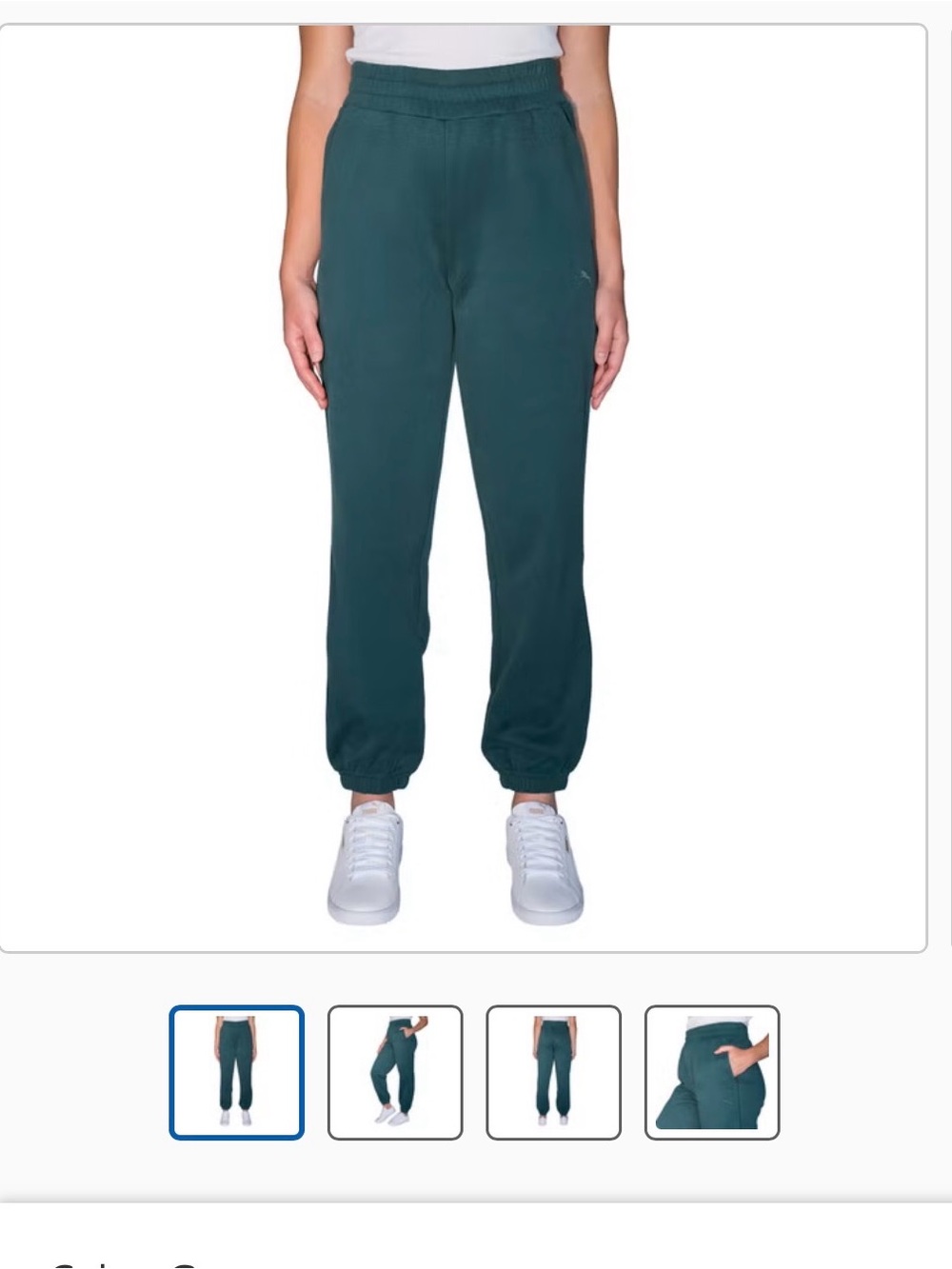 Puma Women's Teal Elastic Waist Joggers
